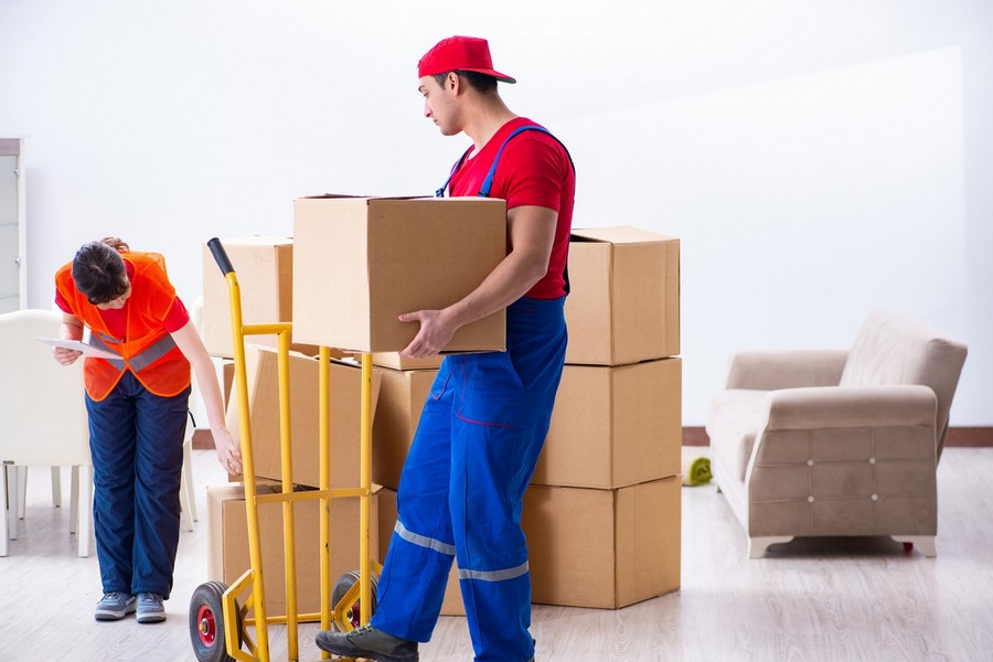 Comparing DIY with Professional Movers